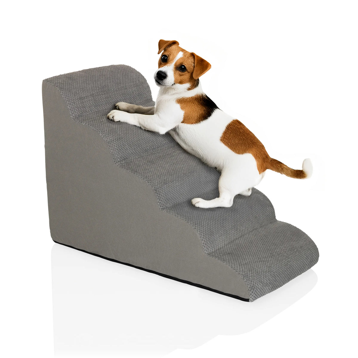 Grijze trap voor huisdieren PAWY STEP 5 met een kleine hond van hjh LIVING