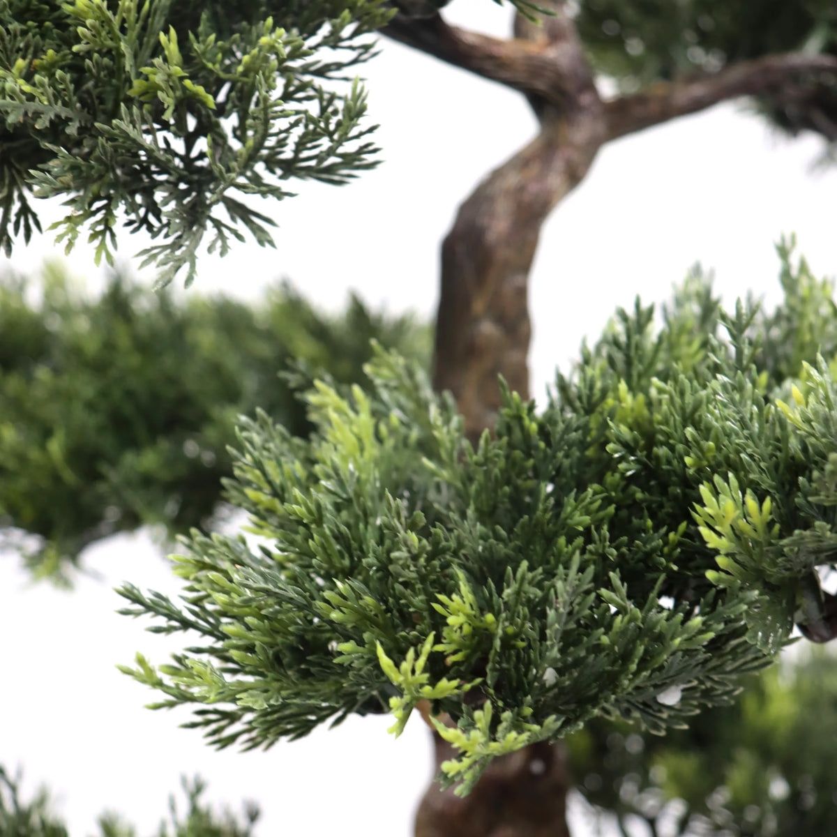 Groene naaldtakken en bruine stam van de kunstplant BONSAI van hjh OFFICE