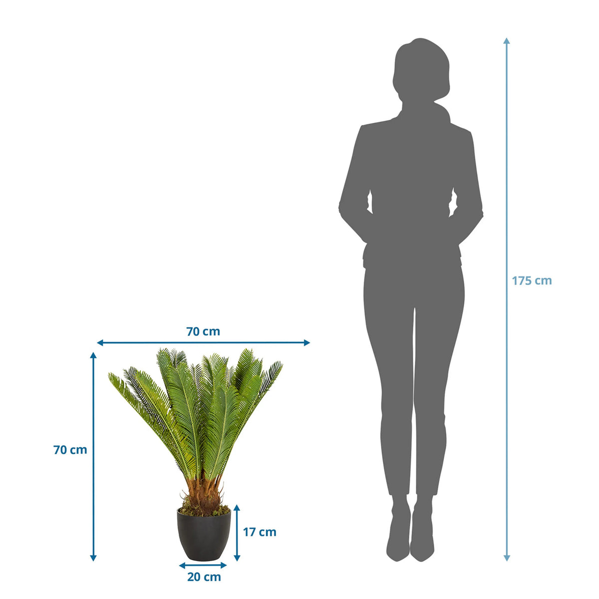 Maattekening van de Kunstplant CYCAS met een hoogte en breedte van elk 70 cm van hjh OFFICE