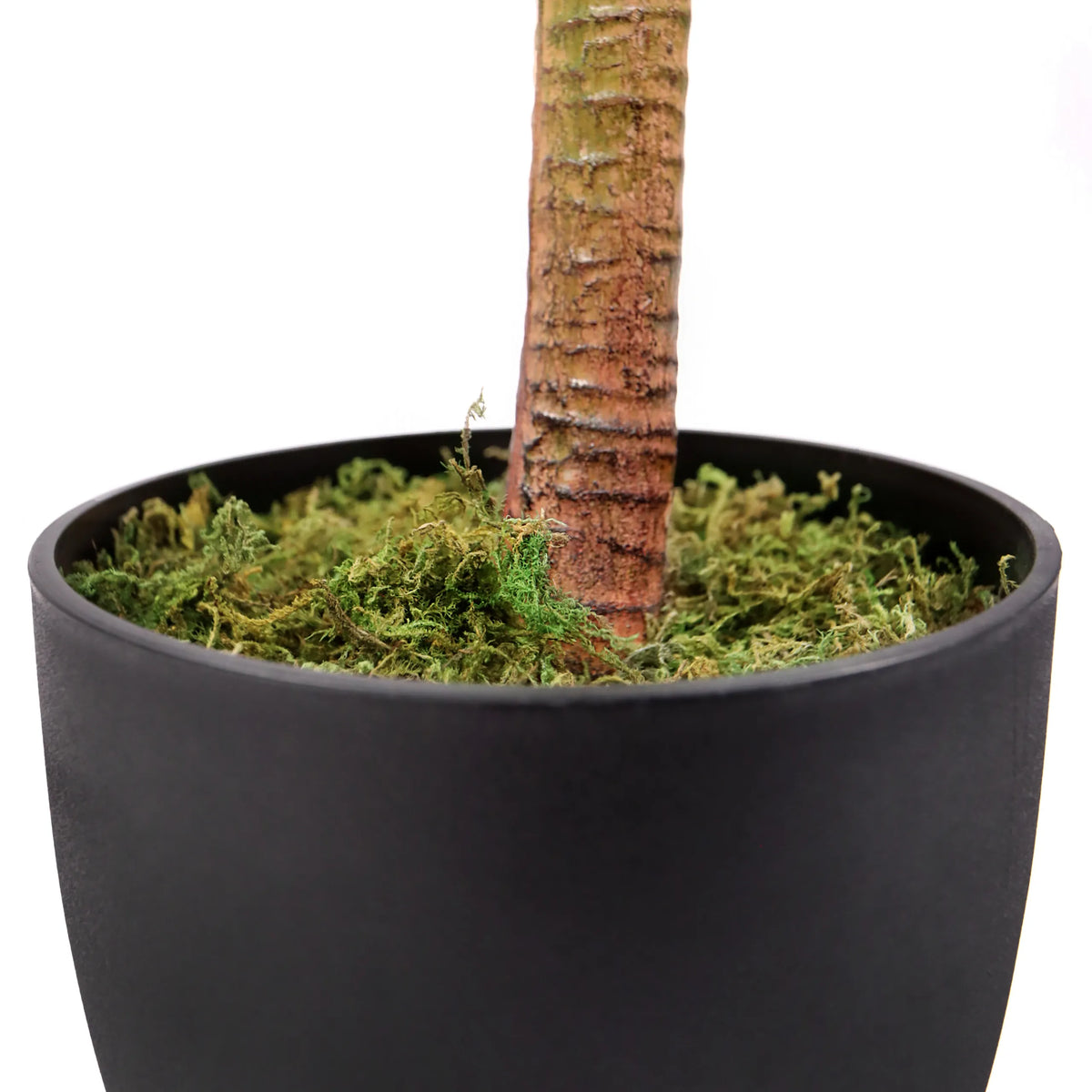 Stam en zwarte plantenpot met groen mos van de kunstplant DRACAENA I van hjh OFFICE