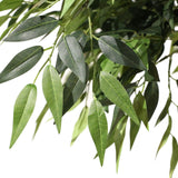 Groene bladeren van de kunstplant ACACIA van hjh OFFICE