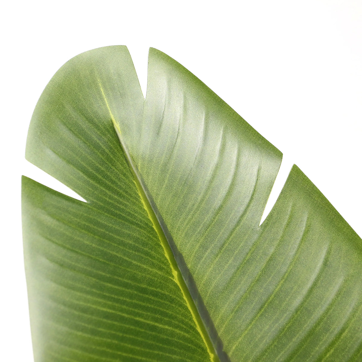 Groen blad van de Kunstplant BANANE van hjh OFFICE