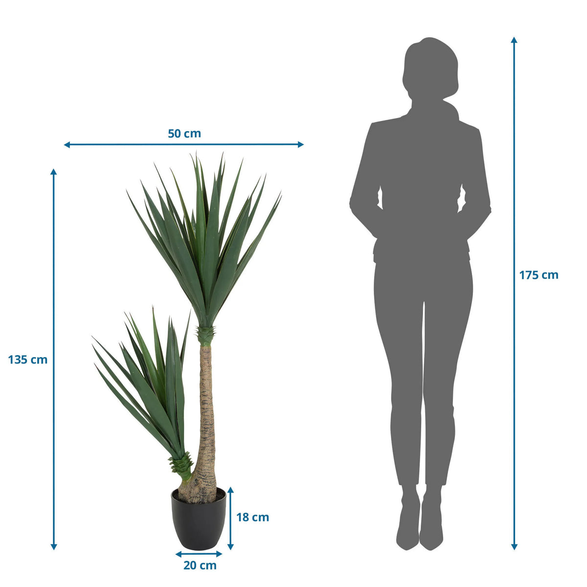 Maattekening van de Kunstplant YUCCA met een hoogte van 135 cm en breedte van 50 cm van hjh OFFICE