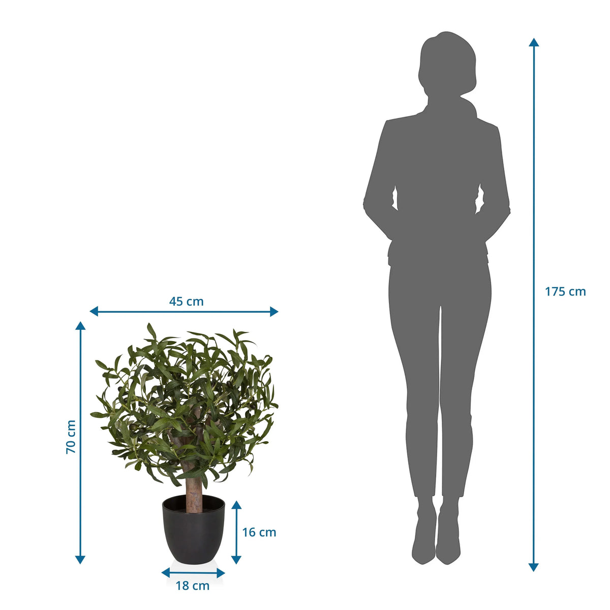 Maatafbeelding van de Kunstplant Olive S met een hoogte van 70 cm en breedte van 45 cm van hjh OFFICE
