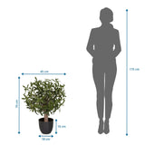 Maatafbeelding van de Kunstplant Olive S met een hoogte van 70 cm en breedte van 45 cm van hjh OFFICE