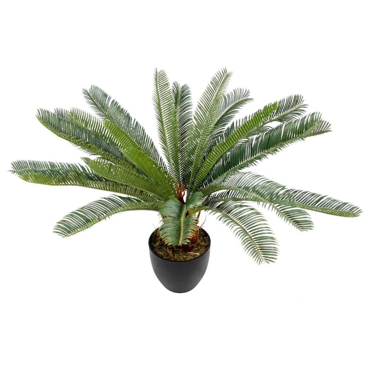 Kunstplant CYCAS in groene kleur met zwarte overpot van hjh OFFICE
