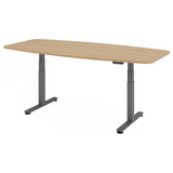 XDSM 22 G | 220x103 | Bureau elektrisch in hoogte verstelbaar 
