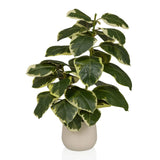 Ficus 3 - Kunstplant 