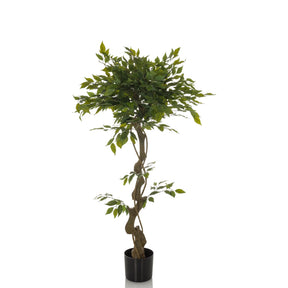 Groene Kunstplant FICUS I met gedraaide stam in een zwarte pot van hjh OFFICE