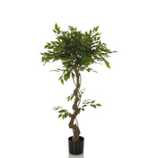 Groene Kunstplant FICUS I met gedraaide stam in een zwarte pot van hjh OFFICE