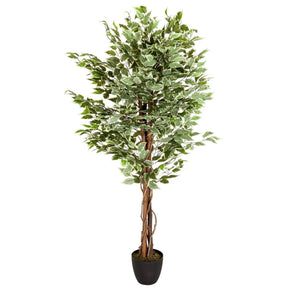 Kunstplant FICUS met groen-wit bontbladeren in een zwarte pot van hjh OFFICE
