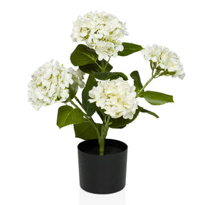 Kunstplant HYDRANGEA met witte bloemen, groene bladeren en zwarte pot van hjh OFFICE