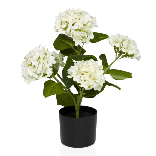 Kunstplant HYDRANGEA met witte bloemen, groene bladeren en zwarte pot van hjh OFFICE