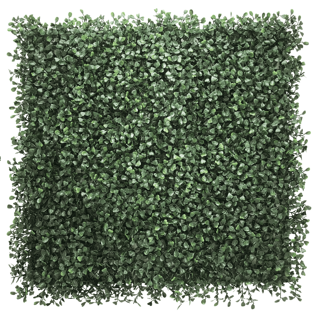 LEAFLUXE 1 - Plantmat 