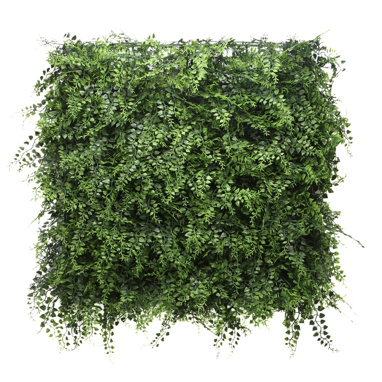 LEAFLUXE 2 - Plantmat 