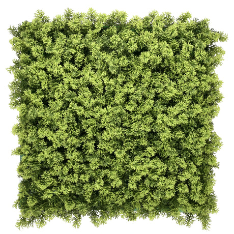 Groene plantmat LEAFLUXE 3 met dicht, fijn vertakt bladwerk van hjh LIVING