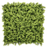 Groene plantmat LEAFLUXE 3 met dicht, fijn vertakt bladwerk van hjh LIVING