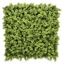 Groene plantmat LEAFLUXE 3 met dicht, fijn vertakt bladwerk van hjh LIVING