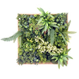 LEAFLUXE WALL 1 - Plantmat 