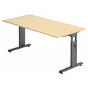 MEGA 16 G | 160x80 | Bureau hoogte verstelbaar 
