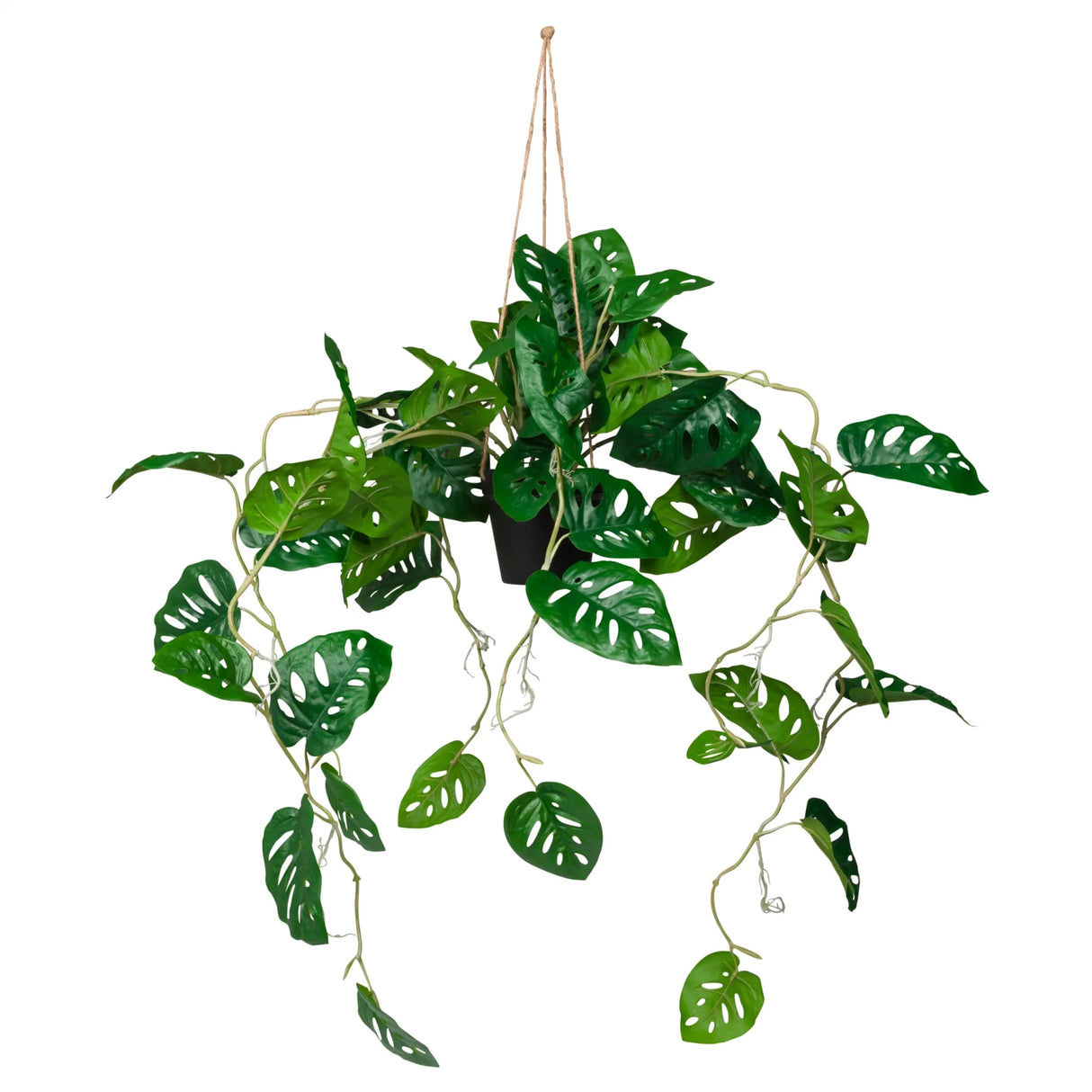 MONSTERA CLIMB - Kunstplant 