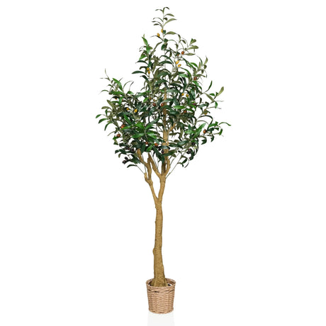 Kunstplant OLIVE II in het groen met gevlochten mandpot en natuurlijke stam van hjh OFFICE