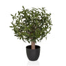 Kunstplant Olive S met groene bladeren in een eenvoudige zwarte pot van hjh OFFICE
