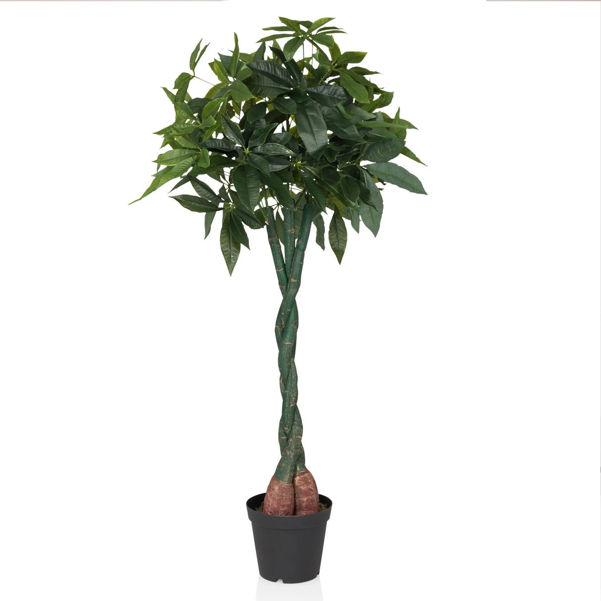 PACHIRA - Kunstplant 