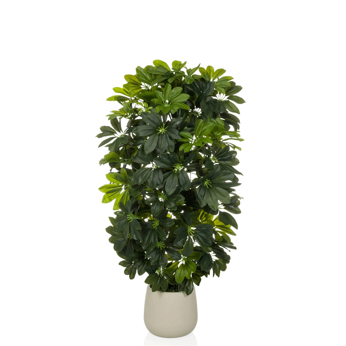 Schefflera 2 - Kunstplant 