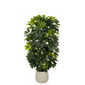Kunstplant Schefflera 2 in het groen met dichte bladeren in een eenvoudige beige pot van hjh OFFICE