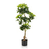 Groene Kunstplant SCHEFFLERA met glanzende bladeren in een zwarte pot van hjh OFFICE
