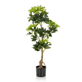 Groene Kunstplant SCHEFFLERA met glanzende bladeren in een zwarte pot van hjh OFFICE