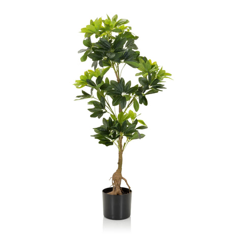 Groene Kunstplant SCHEFFLERA met glanzende bladeren in een zwarte pot van hjh OFFICE