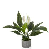 Spathiphyllum 1 - Kunstplant 
