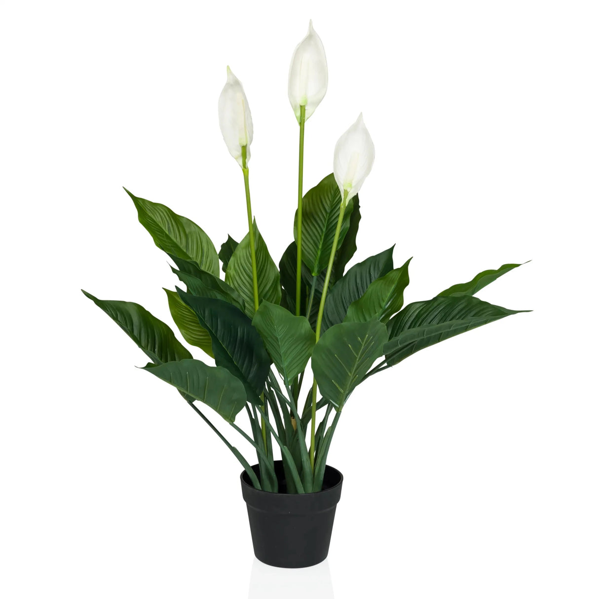 Kunstplant SPATHIPHYLLUM in groen en wit met drie bloemen in een zwarte pot van hjh OFFICE
