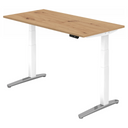 XBHM 16 WC | 160x80 | Bureau elektrisch in hoogte verstelbaar 