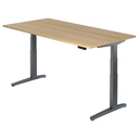 XBHM 2E GG | 200x100 | Bureau elektrisch in hoogte verstelbaar 