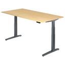 XBHM 2E GG | 200x100 | Bureau elektrisch in hoogte verstelbaar 