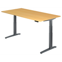 XBHM 2E GG | 200x100 | Bureau elektrisch in hoogte verstelbaar 