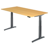 XBHM 2E GG | 200x100 | Schreibtisch elektrisch höhenverstellbar - buerostuhl24