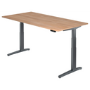XBHM 2E GG | 200x100 | Bureau elektrisch in hoogte verstelbaar 