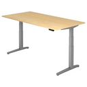 XBHM 2E SS | 200x100 | Bureau elektrisch in hoogte verstelbaar 