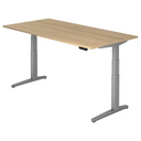XBHM 2E SS | 200x100 | Bureau elektrisch in hoogte verstelbaar 