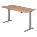 XBHM 2E SS | 200x100 | Bureau elektrisch in hoogte verstelbaar 