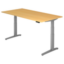 XBHM 2E SS | 200x100 | Bureau elektrisch in hoogte verstelbaar 