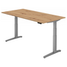 XBHM 2E SS | 200x100 | Schreibtisch elektrisch höhenverstellbar - buerostuhl24