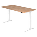 XBHM 2E WW | 200x100 | Bureau elektrisch in hoogte verstelbaar 