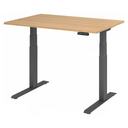 XDKB 12 G | 120x80 | Bureau elektrisch in hoogte verstelbaar 