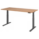 XDKB 19 G | 180x80 | Bureau elektrisch in hoogte verstelbaar. 