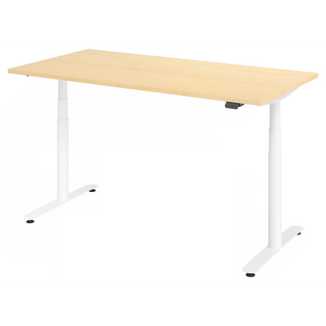 XDLR 16 W | 160x80 | Schreibtisch elektrisch höhenverstellbar - buerostuhl24